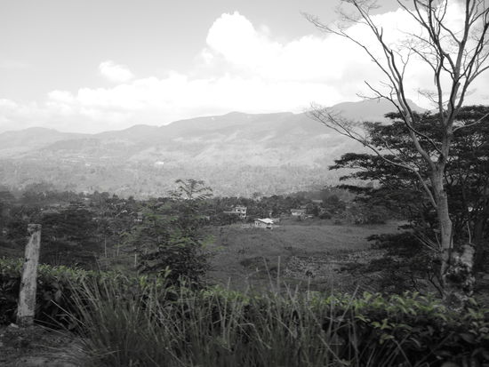 Unterwegs nach Kirinda