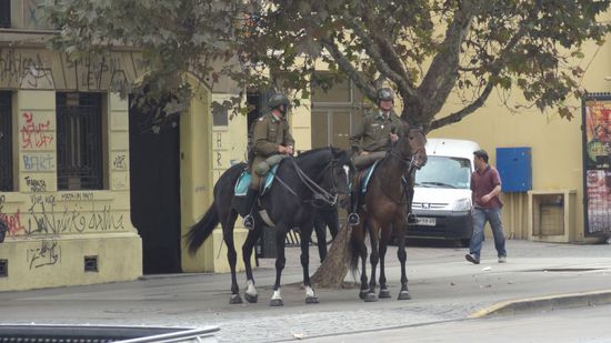 Immer Präsent, egal ob zu Fuss,  im Auto, auf dem Motorrad oder wie hier auf dem Pferd