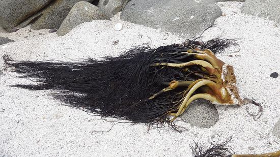 Erinnert mich an Men in Black