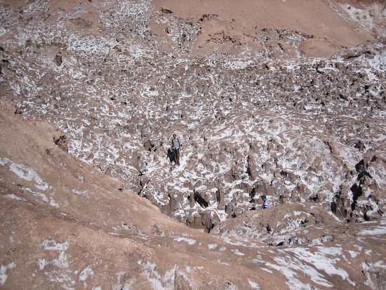 Verschiedene Salzarten, nicht nur NaCl