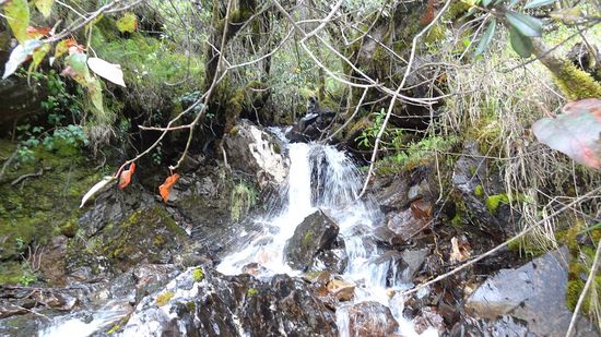 Auch kleinere, die Wege überfluten