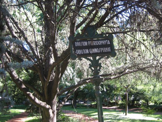 Lustiges Bild (Division)