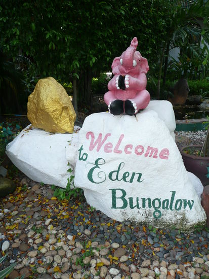 Selbst die Elefanten sind hier pink....