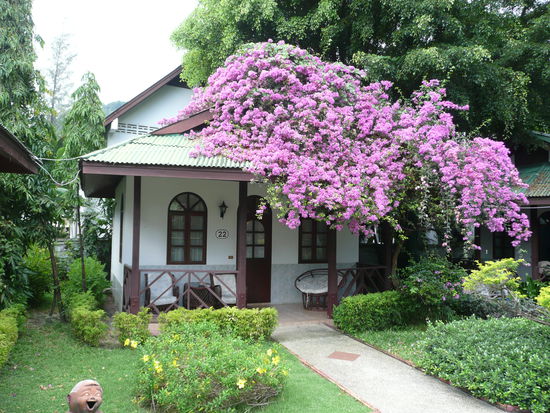 Unser Häuschen...süß, oder?