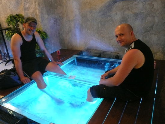 Hier lassen wir uns gerade von Fischen an den Füßen knabbern...das hat gekitztelt wie verrückt!!!