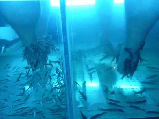 Eine fischige Angelegenheit