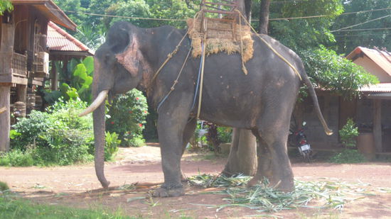 Der stand so am Straßenrand rum....