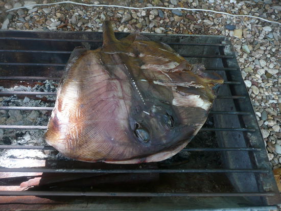 Zurück auf der Straße fanden wir dann diese Köstlichkeit....gut das wir schon gegessen hatten