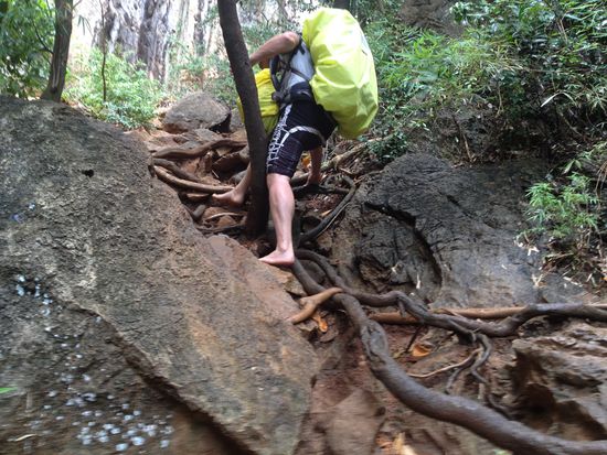 Und immernoch gehts bergauf....