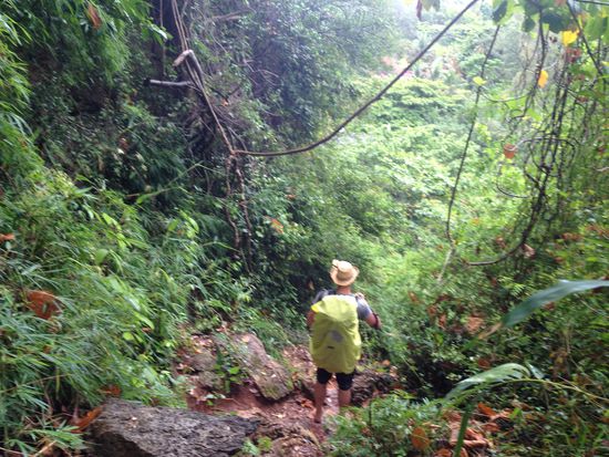 Hier halte ich gerade Ausschau nach Schlangen und anderen Tieren