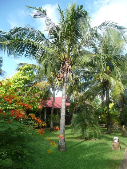 Unser Vorgarten in der Bungalowanlage *nice*