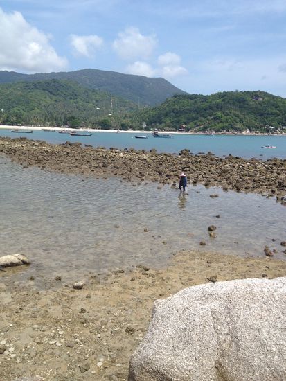 Eine Thai beim Krebse sammeln