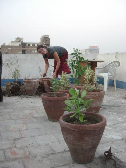 Henriette beim Bepflanzen unserer Terasse