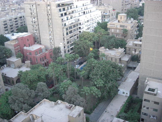 Der Garten des *-Instituts