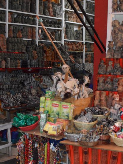 Lama-Embrios und mehr - der Hexenmarkt