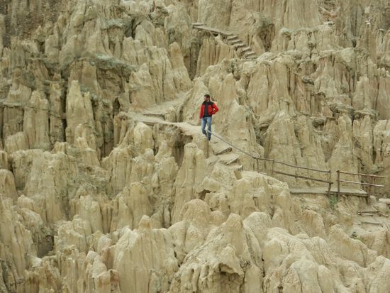 Einmal Mond und zurück 