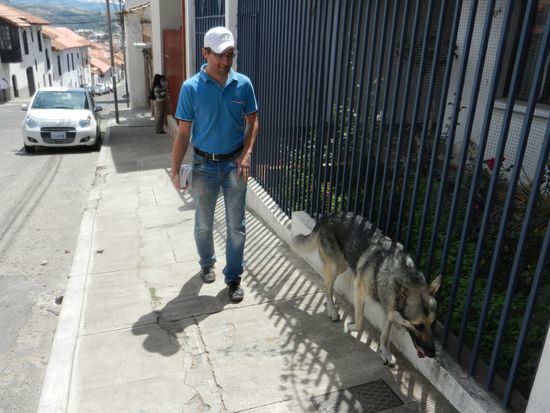 Unser treuer Begleiter 