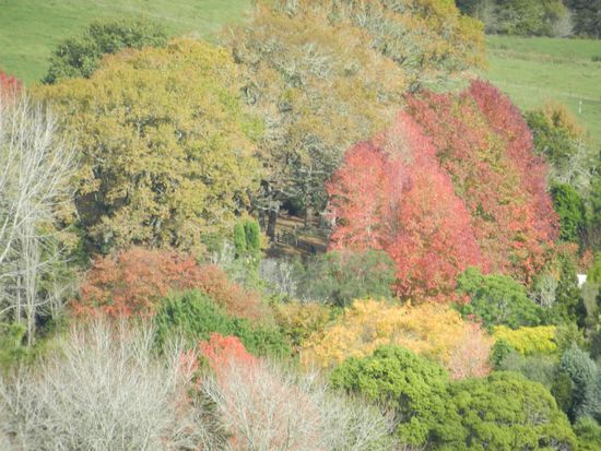 Vom Sommer direkt in den Herbst gereist!