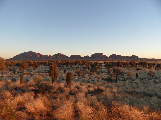 Die "Olgas" im ersten Licht