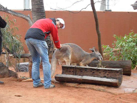 Mit dem Wappentier der Ozzies 