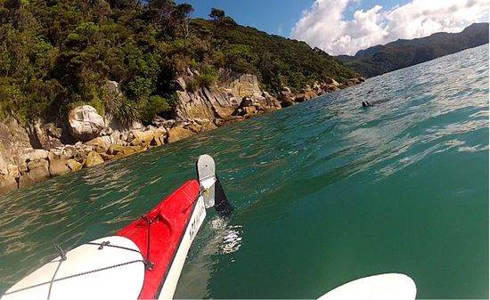 Im Kayak, und hinter uns eine Robbe, die uns verfolgt hat.