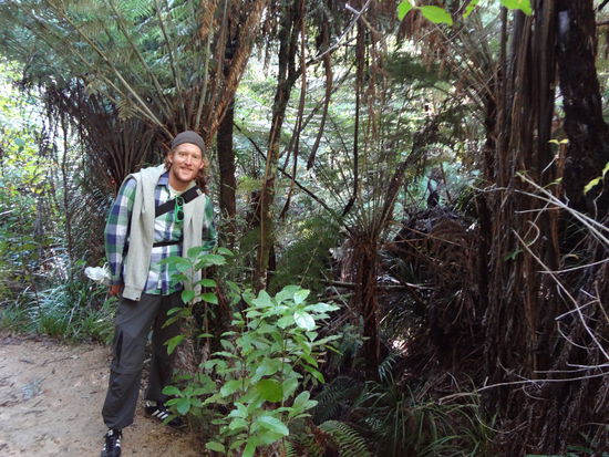 Wenigstens ein Bild aus dem Wald muss ja in den Blog...