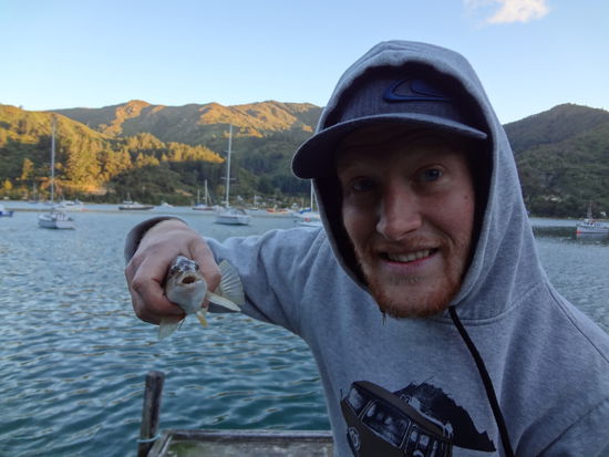 Süß das kleine Ding. Da war nichts dran zum Essen, so hatte er nochmal Glück.