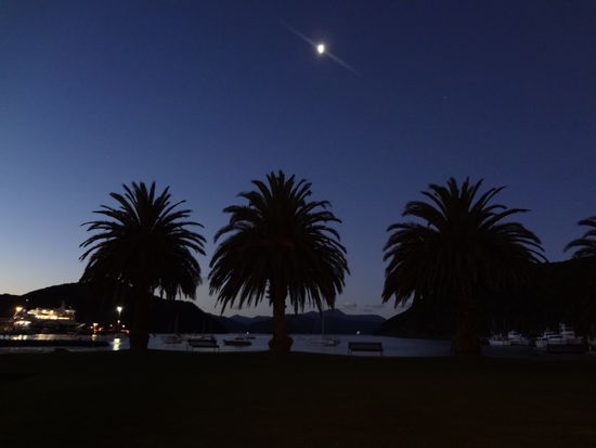 Der letzte Abend in Picton.