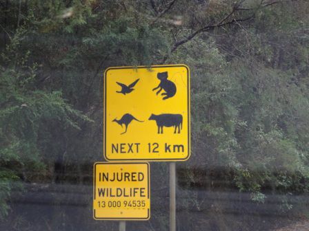 Ein typisches Straßenschild für Australien.