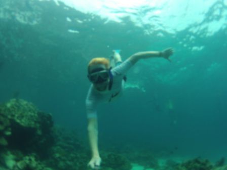 ... es ist nur irgendwie schwierig die Fische auf der GoPro fest zu halten. Das geht in den Videos besser, aber ich bin noch nicht dazu gekommen, die einzelnen Fotos raus zu holen.