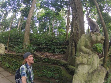 Nachmittags waren wir ja dann noch im Monkey Forest in Ubud...