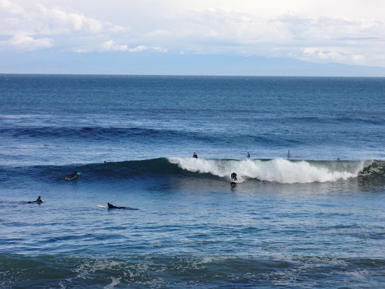 Santa Cruz Surfspot.