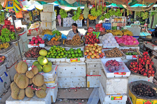 Fruchtstand in Siem Reap