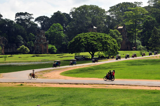 Tuk Tuk's neigen zu Schwarmbildung