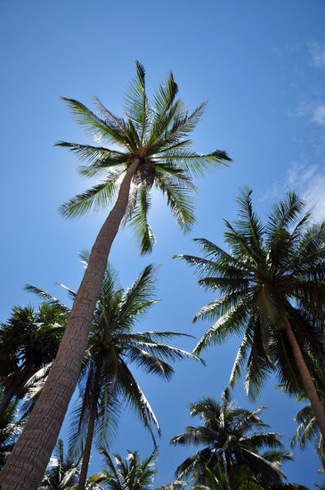 Aussicht beim relaxen