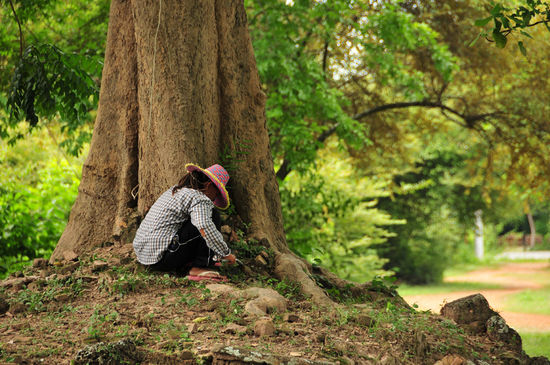 Pflege der Anlage wird Gross geschrieben....