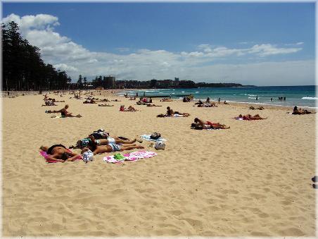 Manly Beach