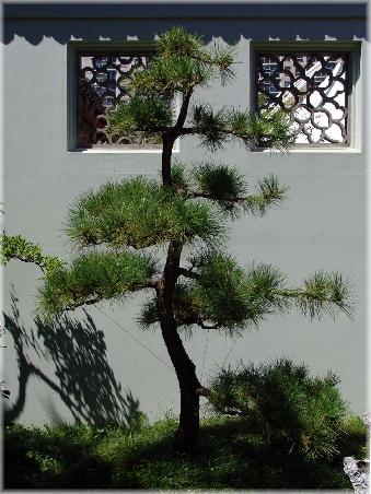 Im Chinesischen Garten