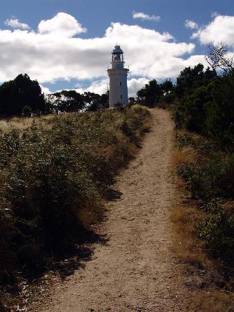 Der Leuchturm des Table Cape