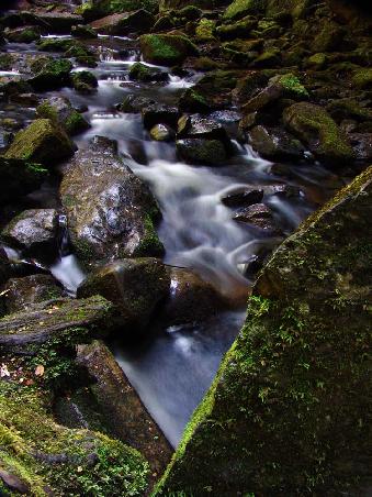 Bei den Nelson Falls