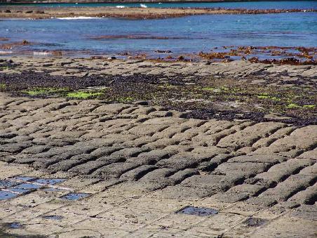 Tessellated Pavement