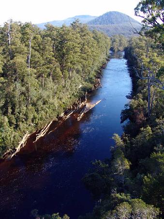 ein kleiner ruhiger Huon River mit Überresten des Hochwassers von 2001 (tote Baumstämme am Rand)