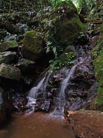 Kleiner Wasserfal am Wegrand