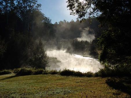 Morgen Stimmung am Little Yarra Creek
