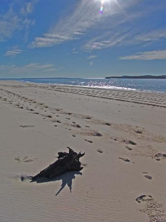Eindrücke vom Strandspaziergang