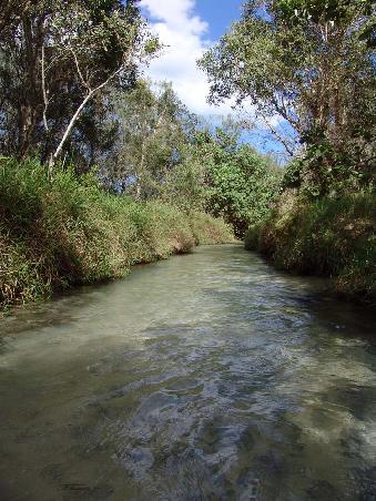 Eli Creek
