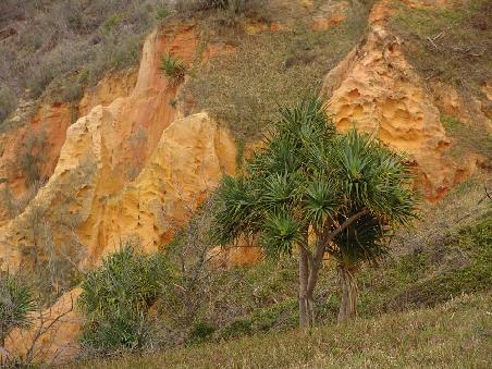 Red Canyon