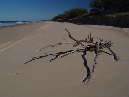 Nochmal 75- Mile Beach