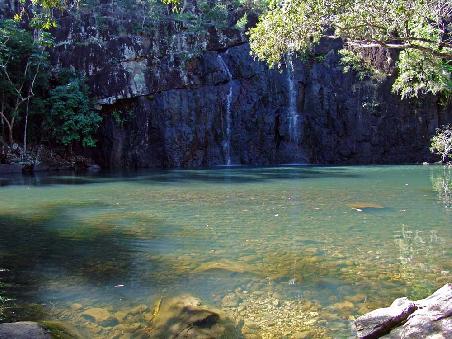 Cedar Creek Falls, hier haben wir einen Azur Kingfisher (Eisvogel) bei seinen Tauchgängen nach Fischen beobachten können.