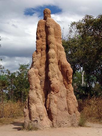 Cathedral Termite Mould